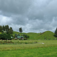Countryside North Island