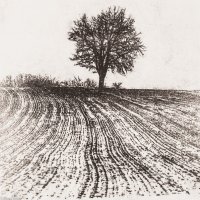 L'hiver en Quercy - 1