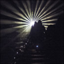 Danièle - Square Format