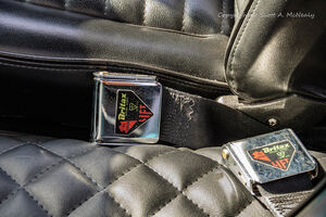 1966 Mustang 302-Seatbelt detail-9644 1966 Mustang 302-Seatbelt detail