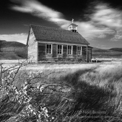Deserted Wilderness