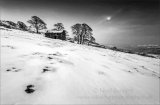 Best Landscape Print!