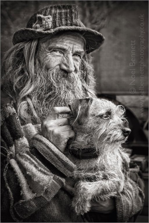 Companions
