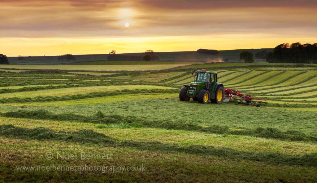 Turning The Crop