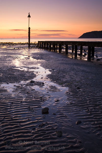 First Light