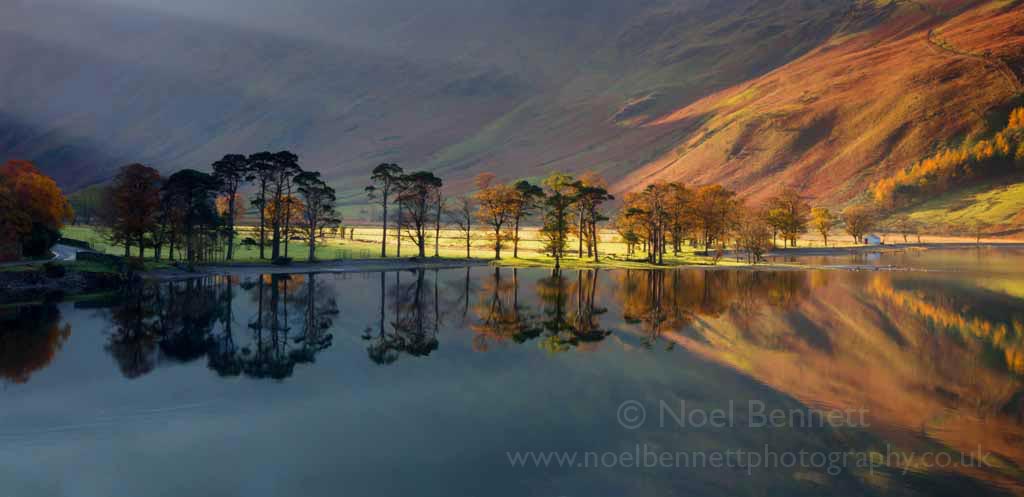 Mirror Reflection