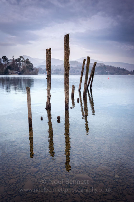 Poles In Water