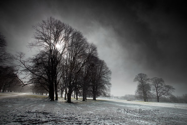 Winter Light