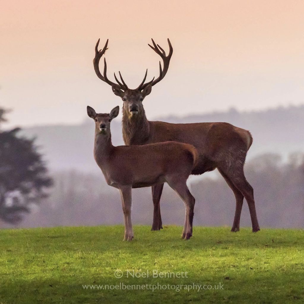 Standing Proud
