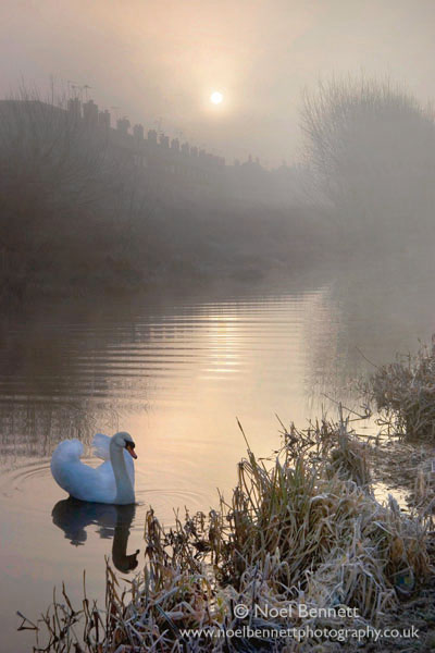 Serenity