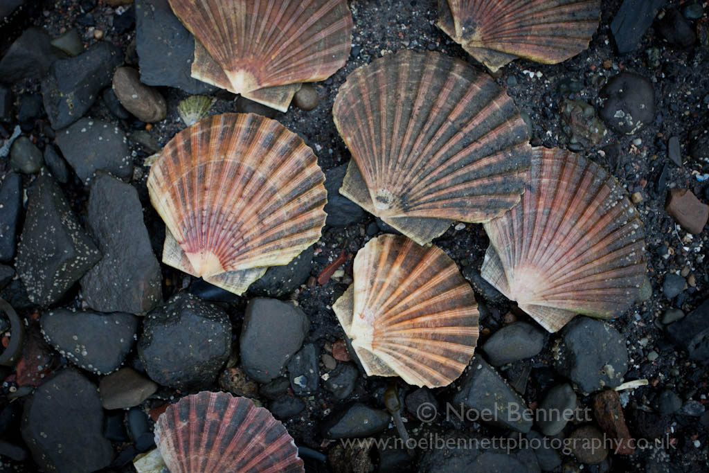 Harbour Floor