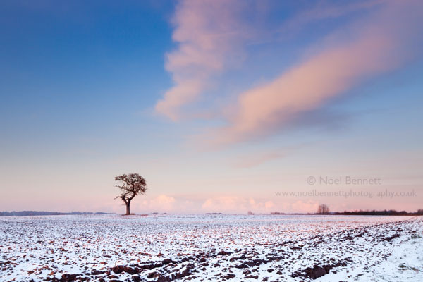 Sky Blue Pink