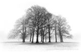 Best Monochrome Print
