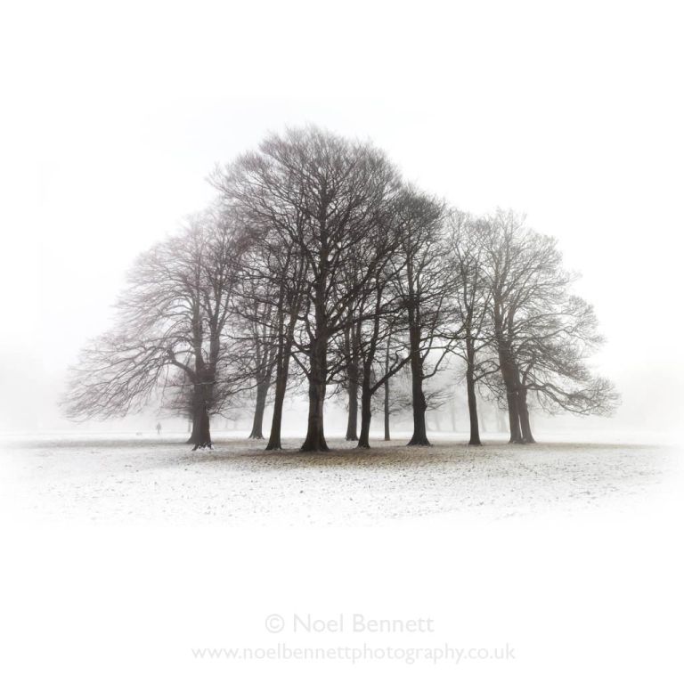 Winter Sentinels