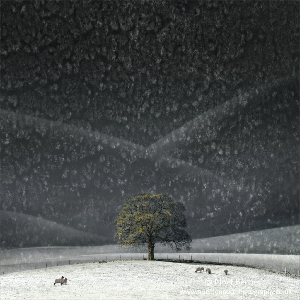 Winter Solace