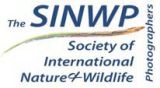Also a member of SINWP