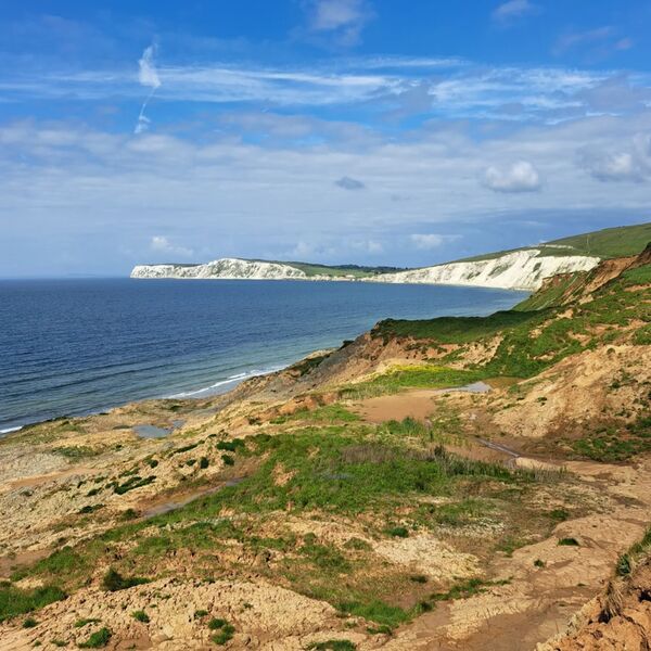 LANDSLIPS, WEST WIGHT