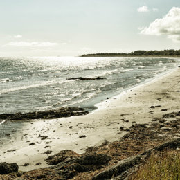 Ballywalter Beach 5