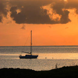Ballywalter Harbour 2