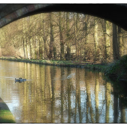 Bridgewater Canal 1