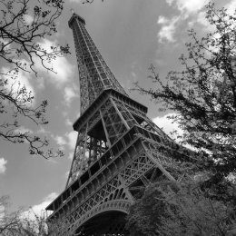 Eiffel Tower 4