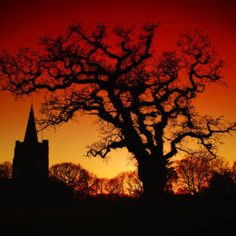 Fire Sky