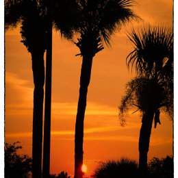 Florida Sunset 1