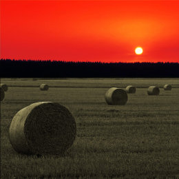 Hay Bales 9