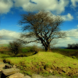 Lake District View 2