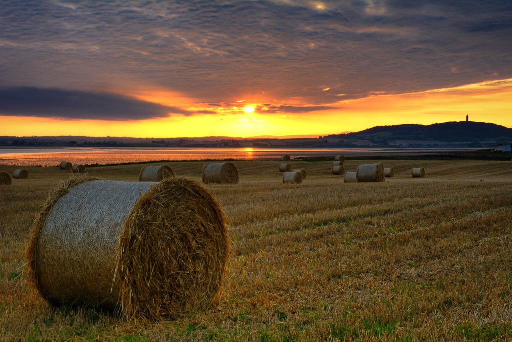 Scrabo Hay Bales Sunset 2