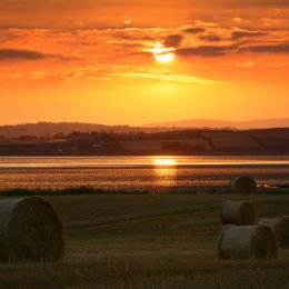 Scrabo Hay Bale Sunset 3