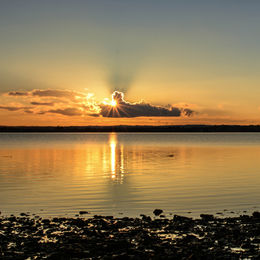 Scrabo Tower Sunset 6