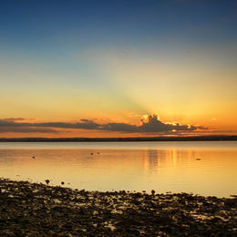 Strangford Lough Sunset 1