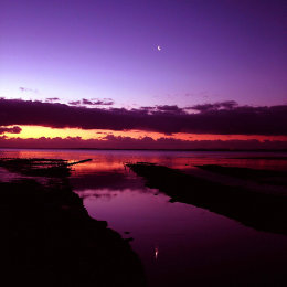 Strangford Sunrise 4