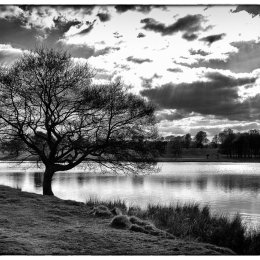 Tatton View 3