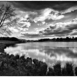 Tatton View 5