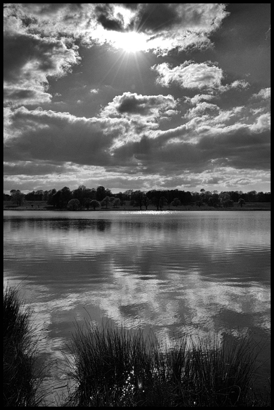 Tatton View 8