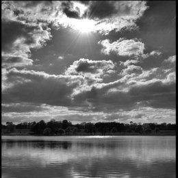 Tatton View 8