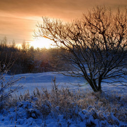 Winter Sun 3