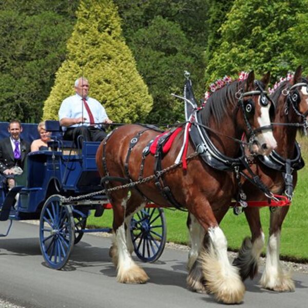 Arrive in style