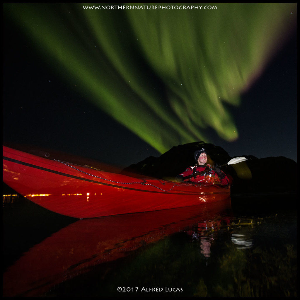 Aurora #10