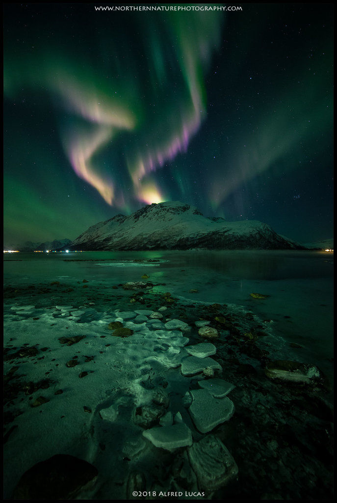 Aurora #11