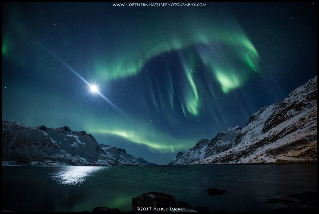 Aurora #2