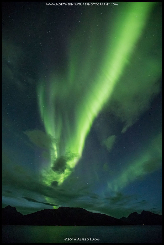 Aurora #3