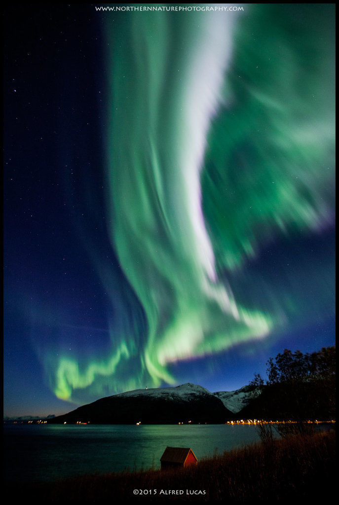 Aurora #6