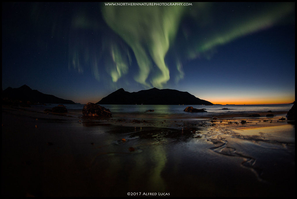 Aurora #9