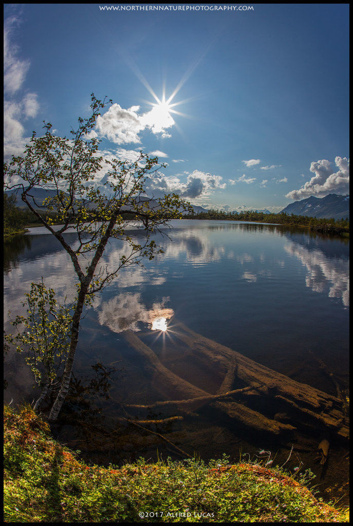 Landscape #10