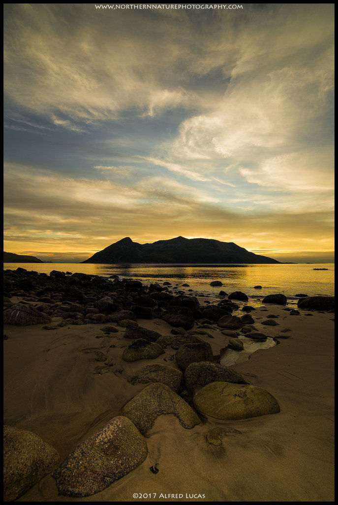 Landscape #11