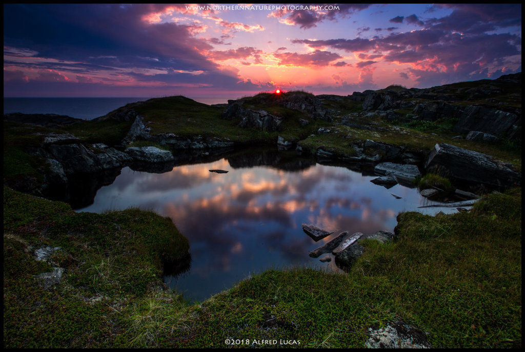 Landscape #19