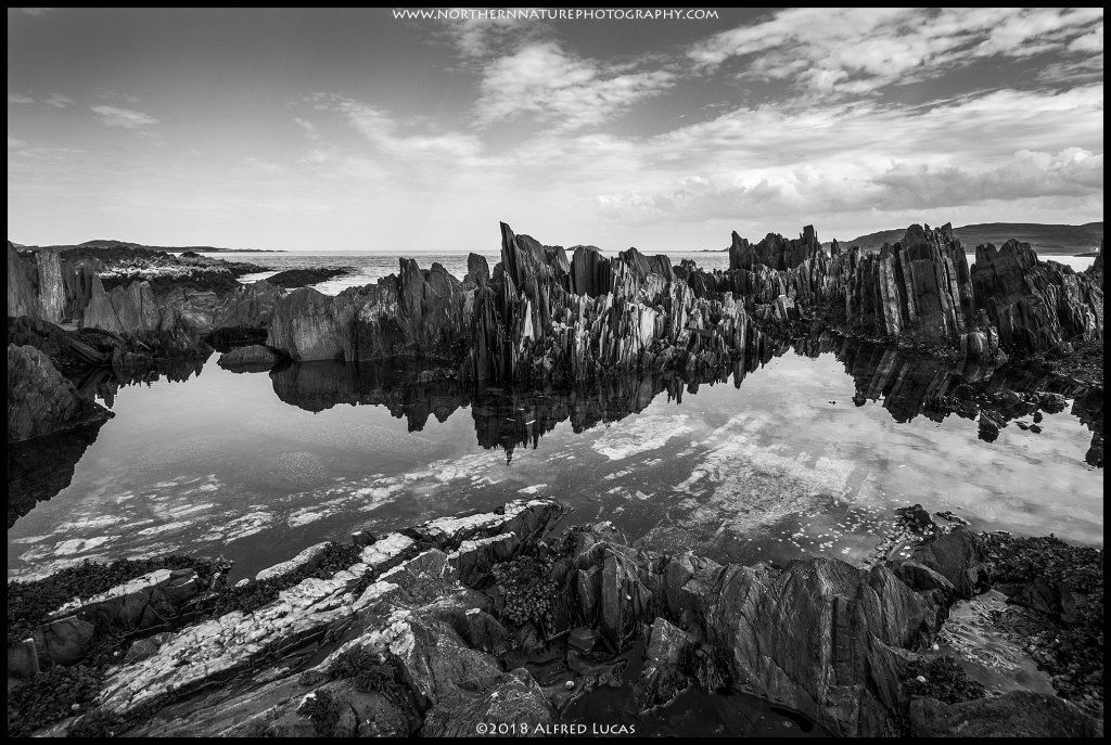 Landscape #20